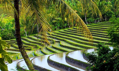 02. VS - TTD-Cultural_2019